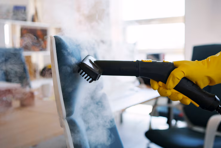 Steam Cleaning & Sanitization