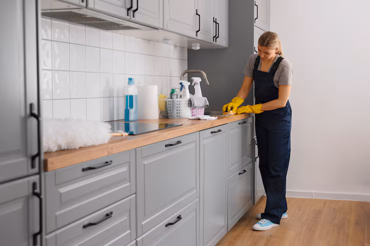 Kitchen and Bathroom Sanitation